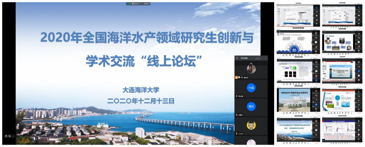 大连海洋大学教务系统_大连海洋大学方正教务_广东海洋大学寸金学院教务网络管理系统